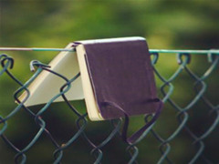 小学生学习方法介绍